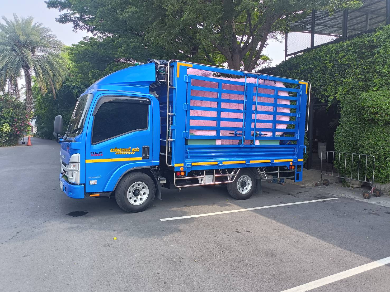 22 - https://ชวลิตขนส่งทั่วไป.com | ชวลิตบริการรถรับจ้างขนส่ง - ให้บริการรถรับจ้าง รถกระบะรับจ้าง รถกระบะรับจ้างขนของ ย้ายห้อง ย้ายบ้าน ย้ายออฟฟิศ ขนส่งสัตว์เลี้ยง ขนมอเตอร์ไซค์